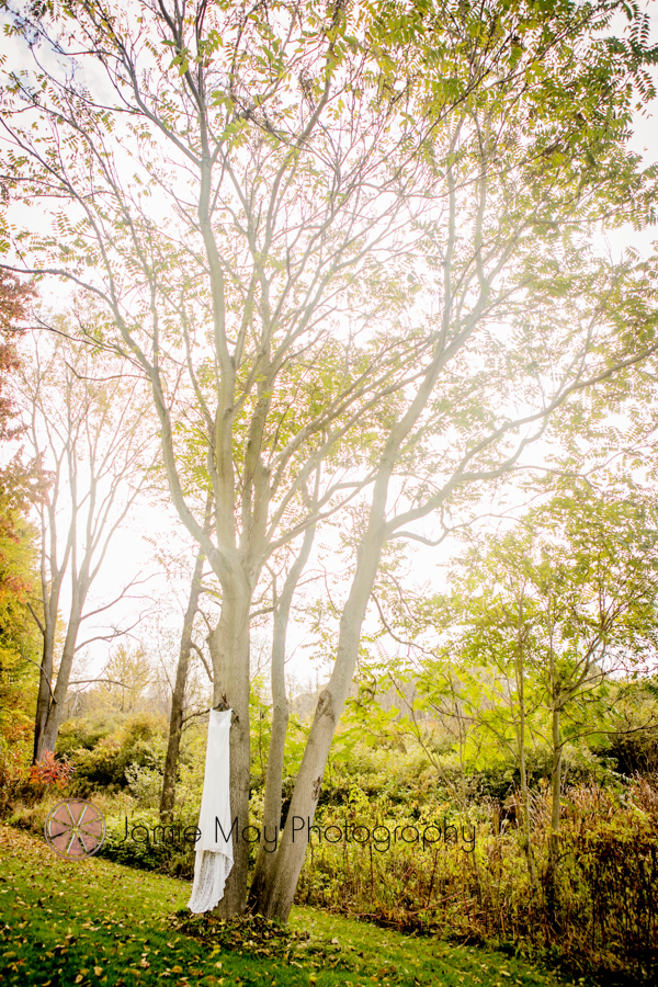 tthornapple pointe weddings