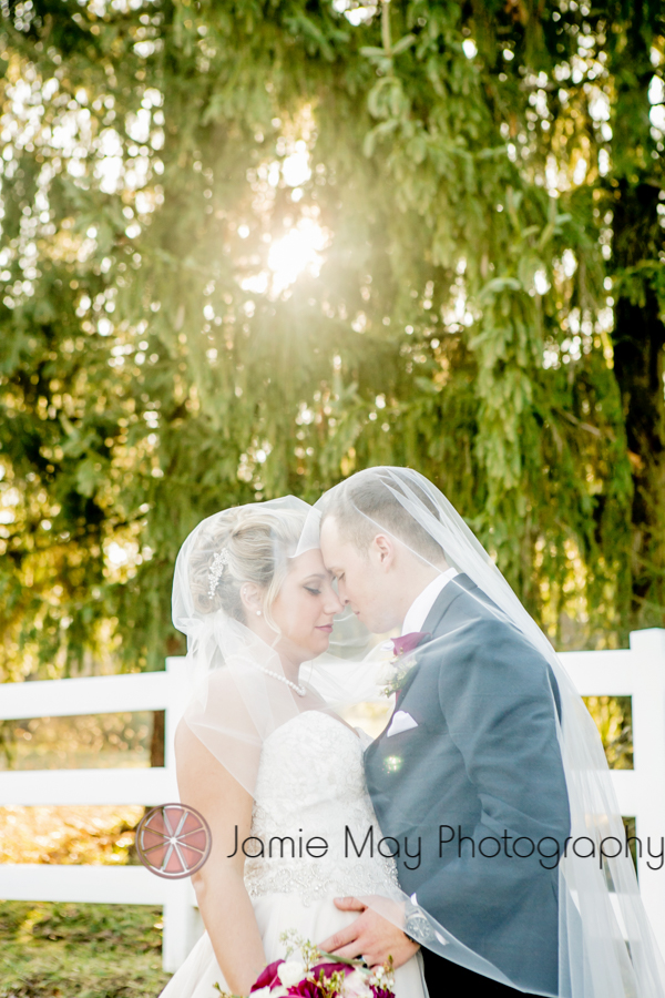 grand rapids wedding photographer