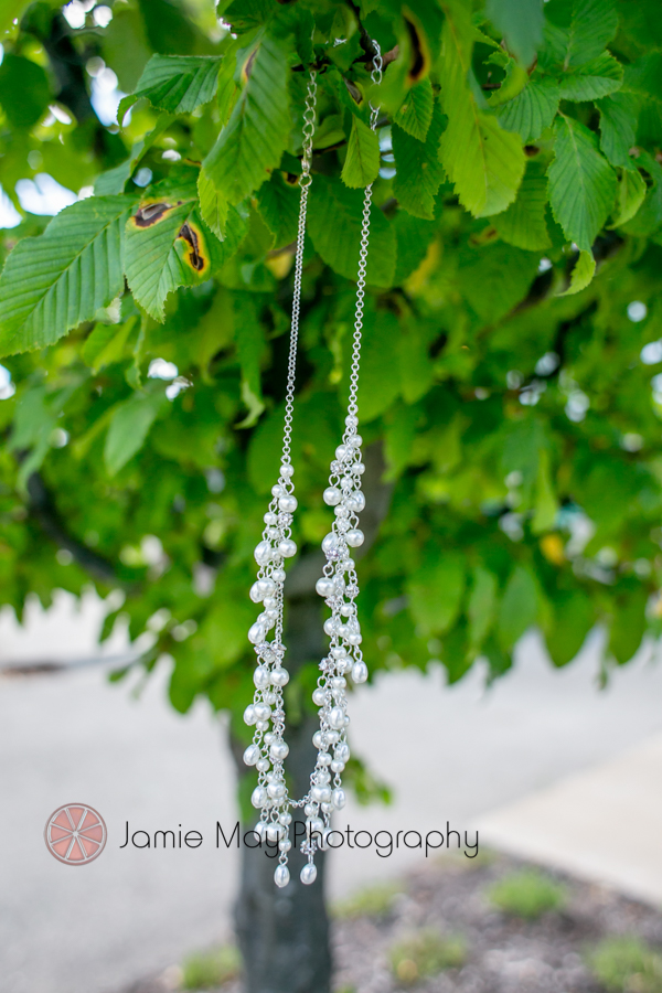 Holland Wedding Photographer