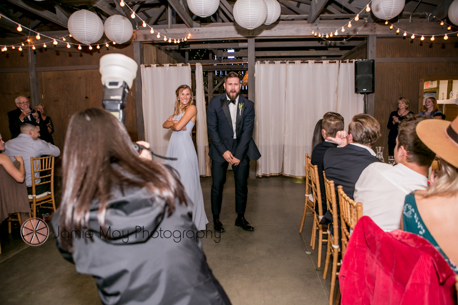 Michigan wedding photographer