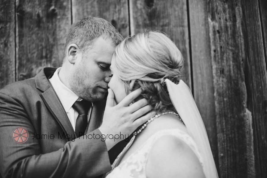 michigan wedding photographer