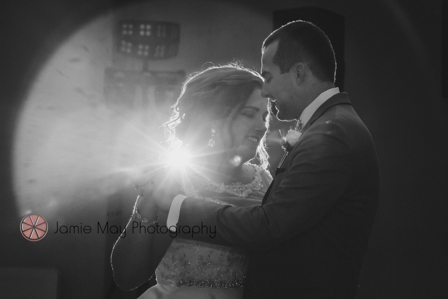 grand rapids wedding photographer